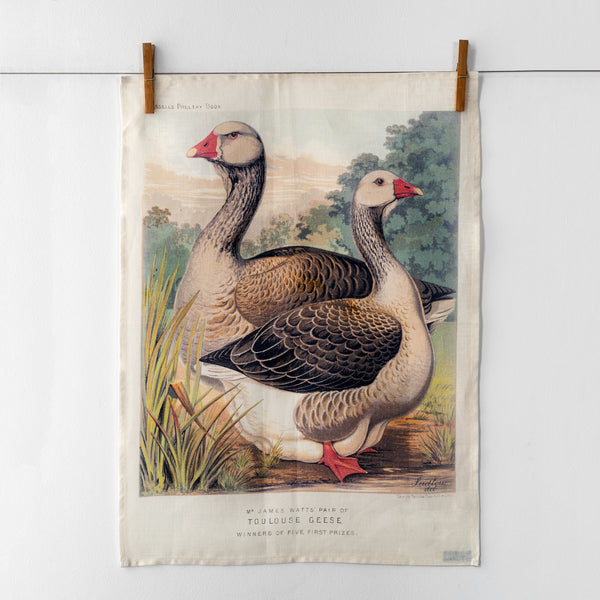 PRINTED TEA TOWEL : TOULOUSE GEESE